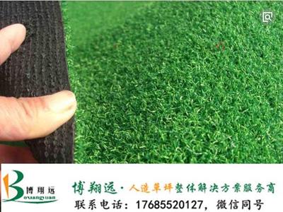 滨州惠民县免填充门球场塑料草坪销售热线