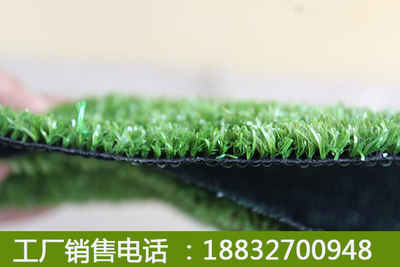 新闻,人造草坪草皮哪里找四川省新津县产品设计不断创新